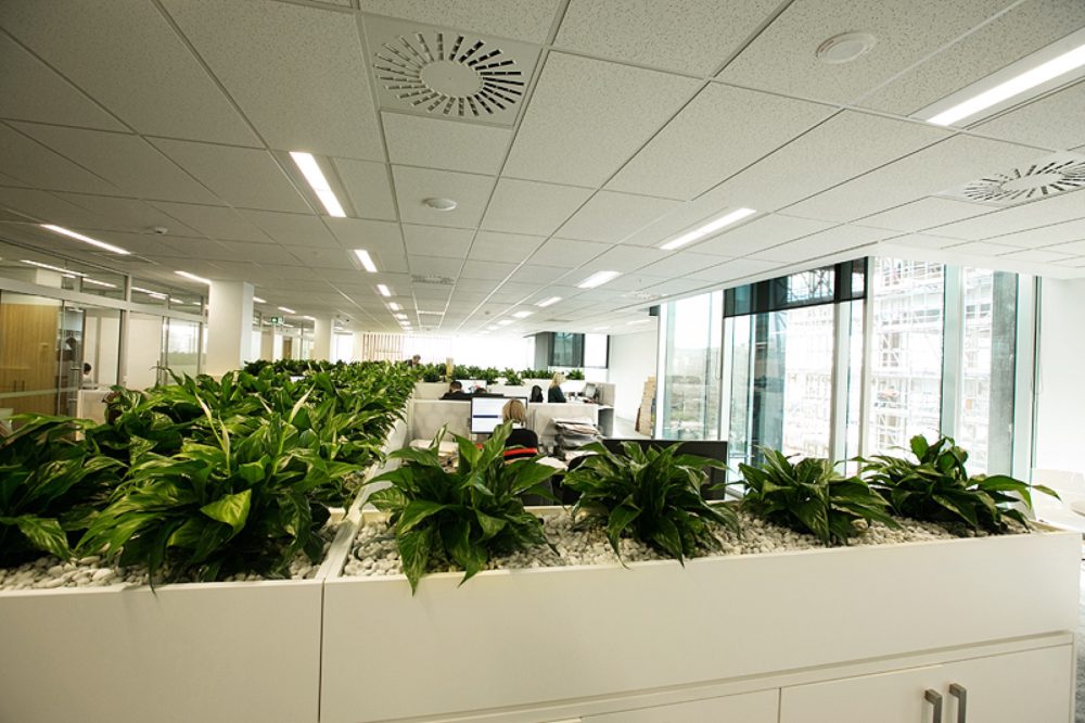 Mediterranean Shipping Company — office fit-out, by Angus Interiors