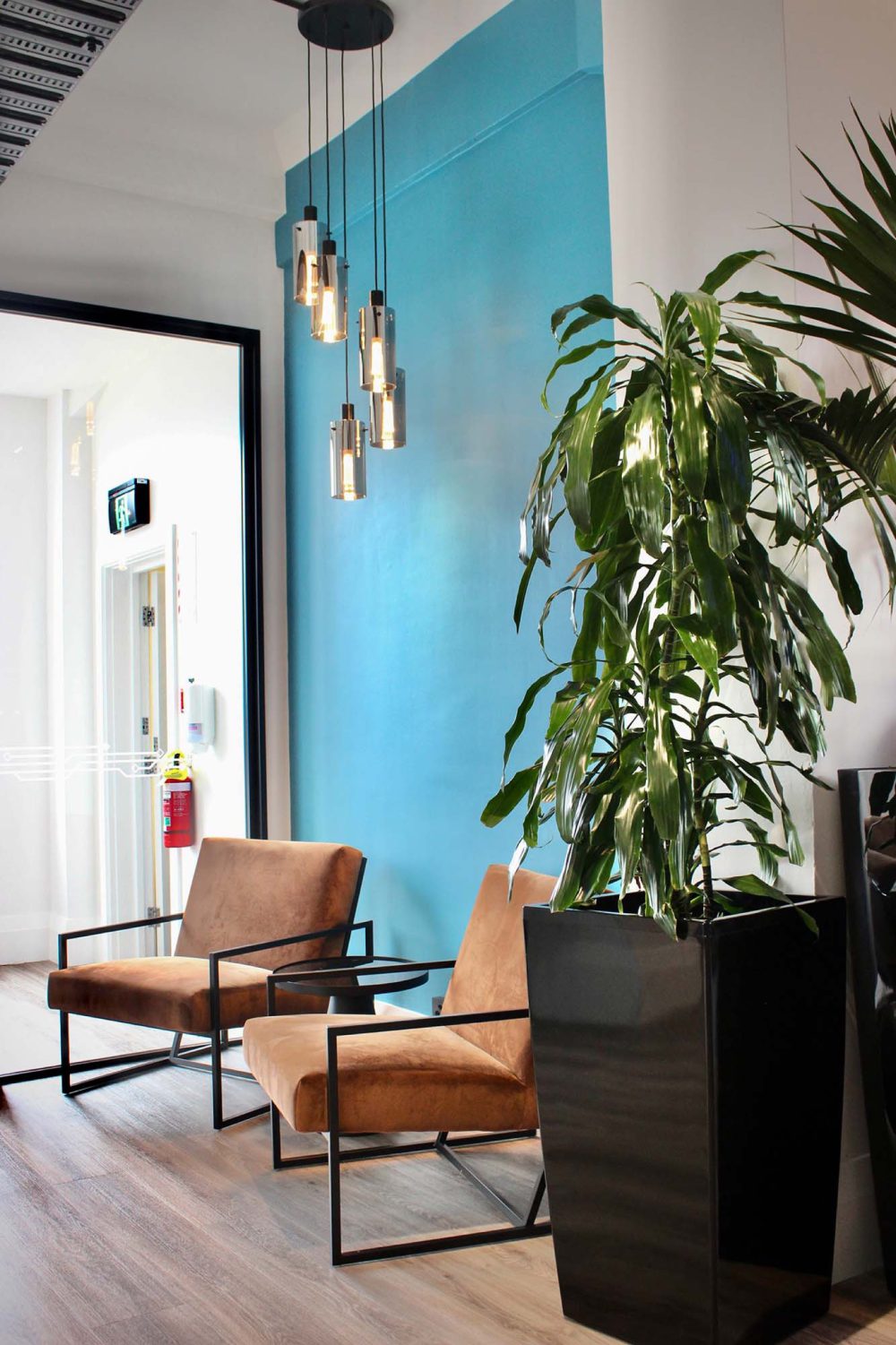 Vision Systems — office fit-out, by Angus Interiors