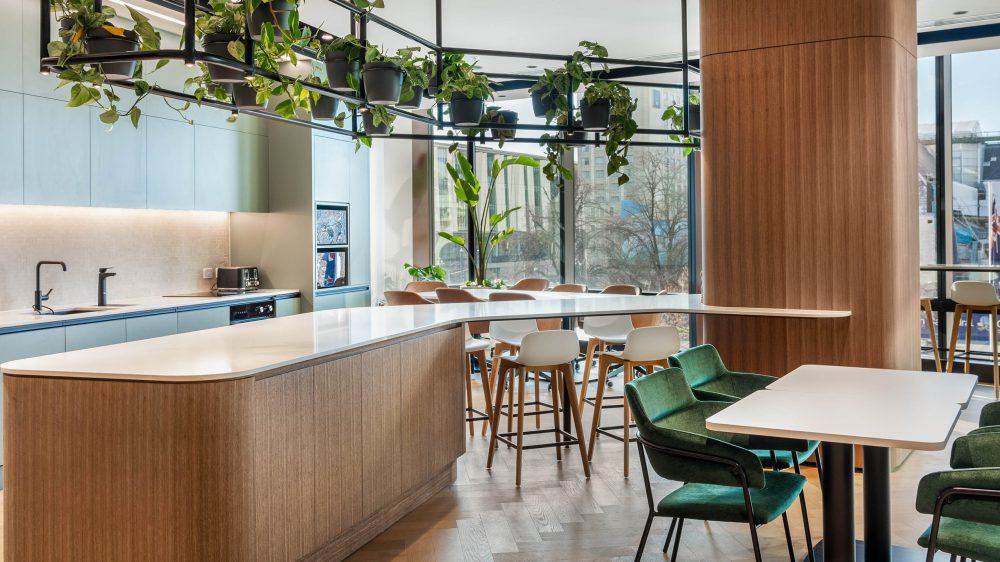 Staff kitchen and breakout with curved joinery island, herringbone timber floor and hanging planting